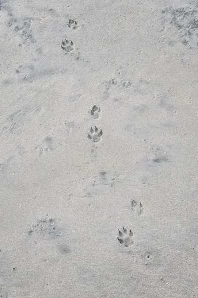 Tekeningen en voetafdrukken in het zand — Stockfoto