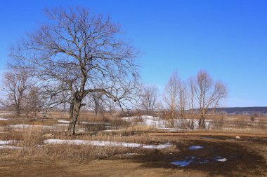 Alanında erken bahar
