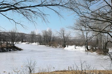 Buz Nehri üzerinde yüzen 