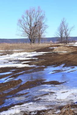 Alanında erken bahar