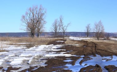 Alanında erken bahar