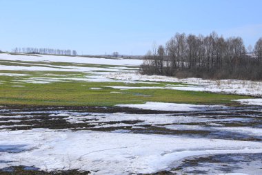 Alanında erken bahar