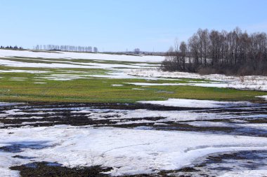 Alanında erken bahar