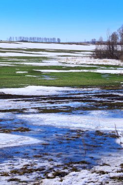 Alanında erken bahar 