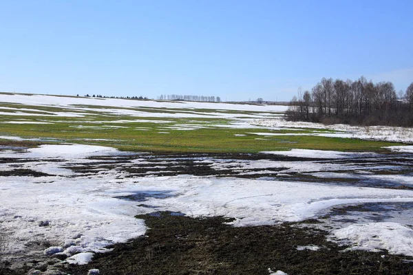 Au début du printemps sur le terrain — Photo