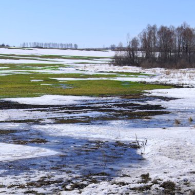 Alanında erken bahar