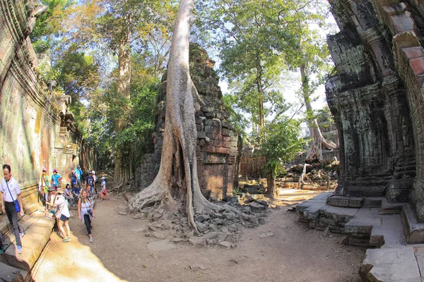 Angkor Wat, Kambodża-20 grudnia, 2014: wycieczka do an — Zdjęcie stockowe