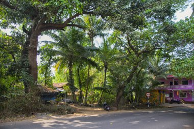 Kuzey Goa, Mandrem/Hindistan-Aralık 2018: renkli sokaklar 