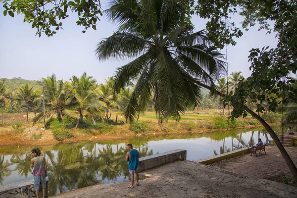 Norra Goa, Mandrem/Indien-december 2018: färgglada gator i — Stockfoto