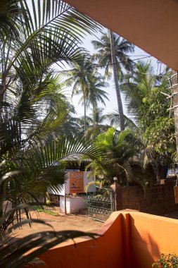 Kuzey Goa, Mandrem/Hindistan-Aralık 2018: renkli sokaklar 