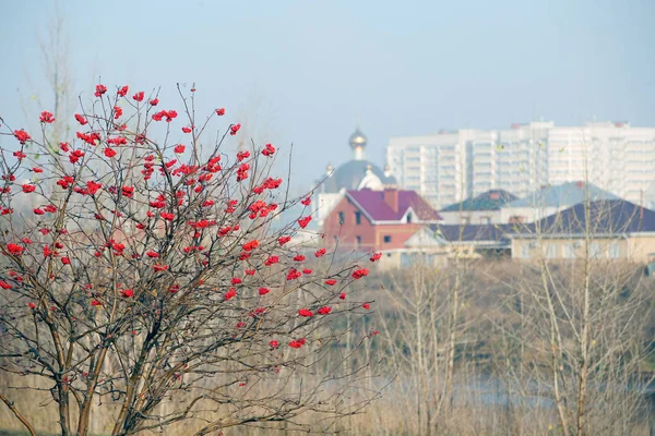 Urban Etude — Stockfoto