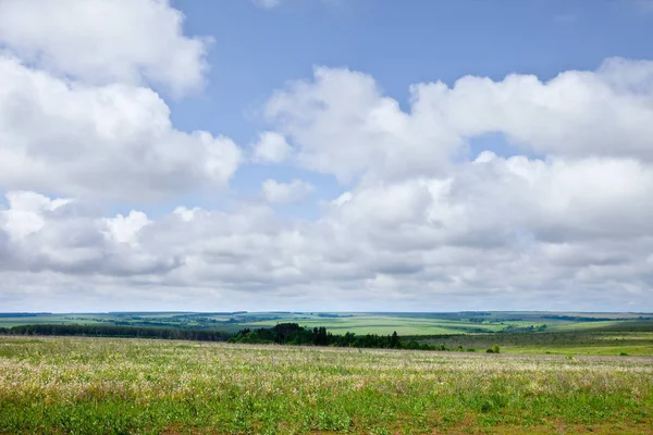 Campo sem limites verde — Fotografia de Stock