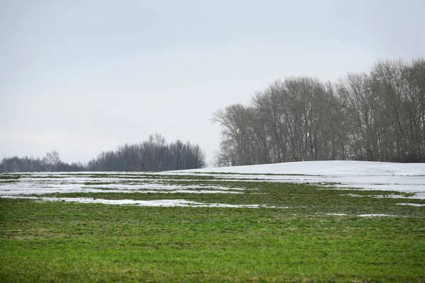 Le printemps est arrivé — Photo