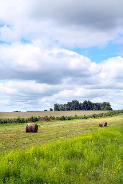 Haystacks a réten — Stock Fotó