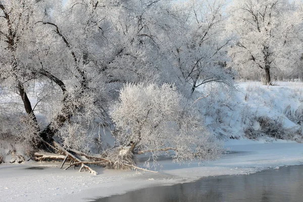 Paisaje invierno — Foto de Stock