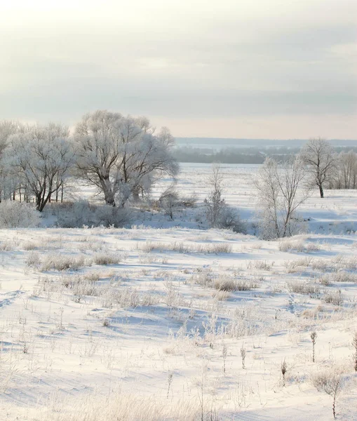 Paisaje invierno — Foto de Stock