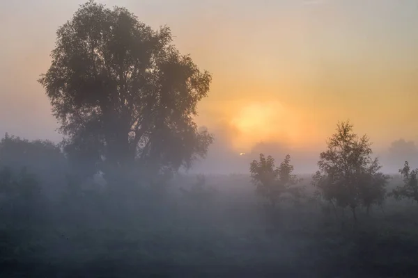 Nevoeiro no rio — Fotografia de Stock