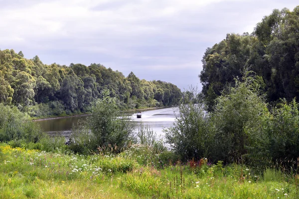 Paesaggio estivo — Foto Stock