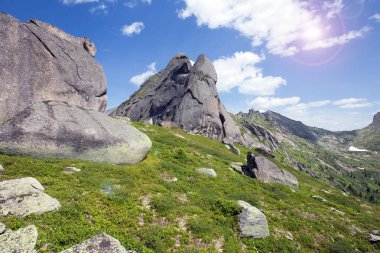 Kaplumbağa dağ dağ Ergaki Batı Sayan