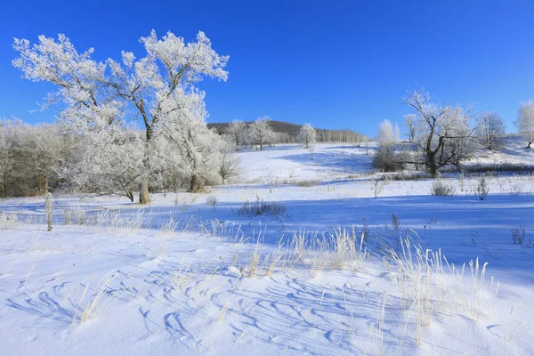 Paisagem inverno — Fotografia de Stock