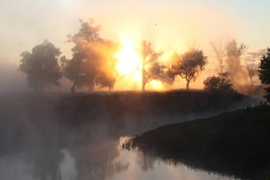 Meşe keyifli şafak