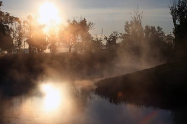 Meşe keyifli şafak