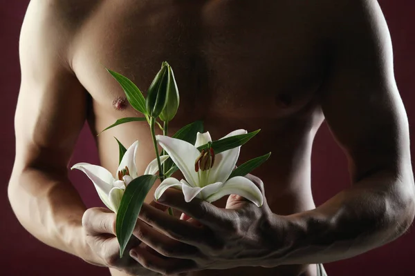 Белая лилия в руках — стоковое фото