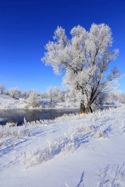 Fog over winter river — Stock Photo, Image