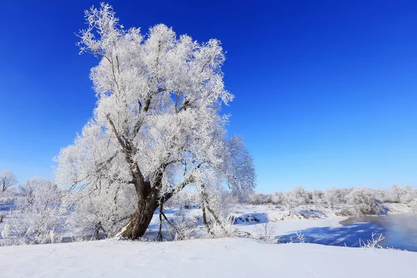 Paisagem inverno — Fotografia de Stock