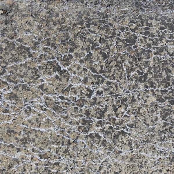 Concrete texture — Stock Photo, Image