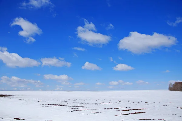 Snön smälter i början av våren — Stockfoto