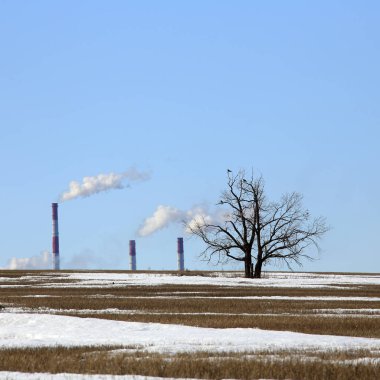 Alan ve ufuktaki bacalardan çıkan duman.