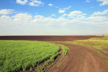 Bir tarlada toprak yol