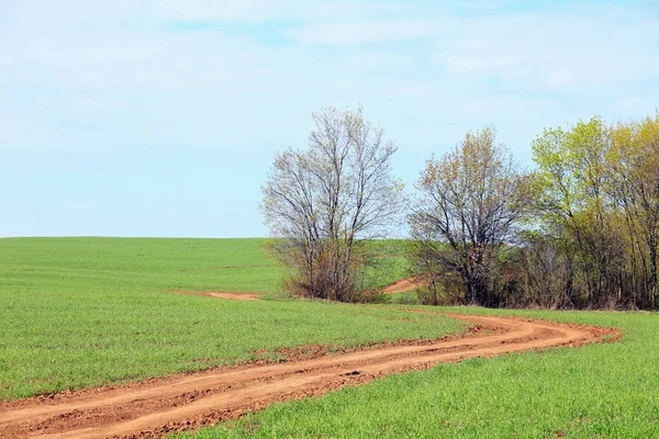 Dirt road in a field — Stock Photo, Image