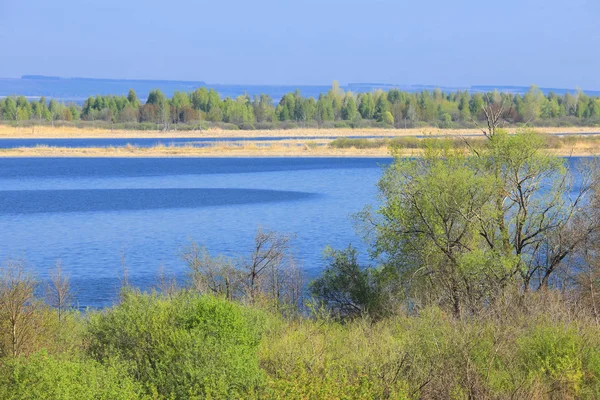 Primavera en el río —  Fotos de Stock