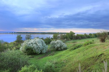 nehir kıyısında çiçek açması elma ağacı