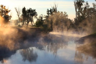 Meşe keyifli şafak 