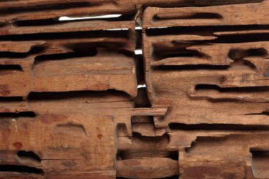 eski blok kesme ahşap  
