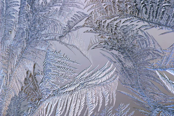 Μακροεντολή Όμορφα Περίπλοκα Σχέδια Του Παγετού Στο Γυαλί — Φωτογραφία Αρχείου
