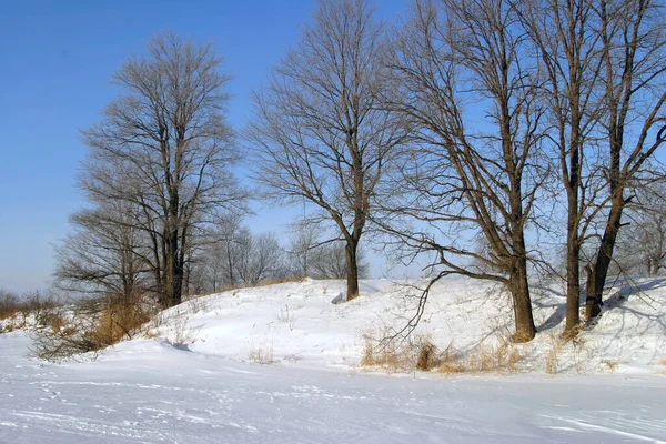 Donmuş Bir Nehrin Kış Manzarası Güneşli Bir Günde Kışın Karla — Stok fotoğraf
