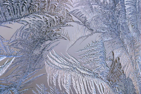 Macro Beautiful Intricate Patterns Frost Glass — Stock Photo, Image