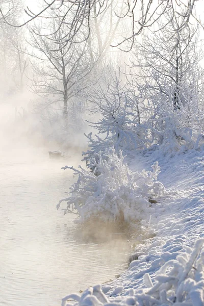 川の冬の風景霜霧の朝と霜の木 — ストック写真