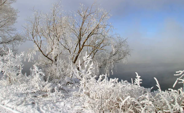 Paisagem Inverno Manhã Nebulosa Gelada Rio Árvores Hoarfrost — Fotografia de Stock