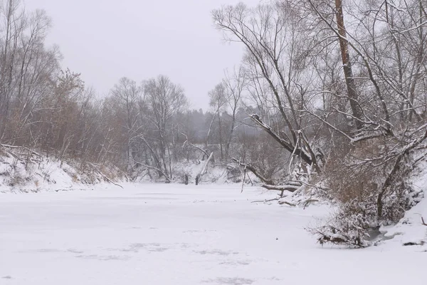 Paesaggio Invernale Del Fiume Sotto Ghiaccio Alberi Hoarfrost Sulla Riva — Foto Stock