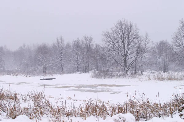 Téli Táj Nagy Hóesés Területen Közel Erdő Egy Felhős Nap — Stock Fotó