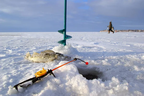 close-up boer, fishing rod and fish around the ice-hole on the winter river in a sunny day