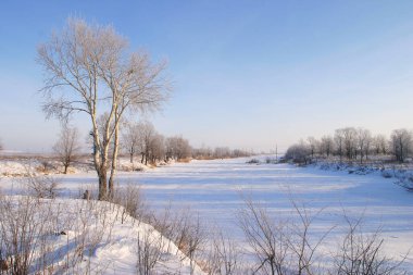 Donmuş bir nehrin kış manzarası ve güneşli bir günde kışın karla kaplı ağaçlar.