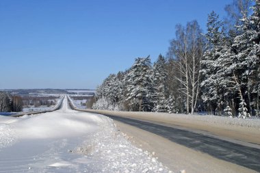 Güneşli bir günde, çam ormanının yakınındaki karlı yolun kış manzarası.