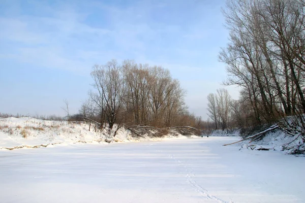 Winter Landschap Ijzige Rivier Bladloze Bomen Aan Kust Zonnige Koude — Stockfoto