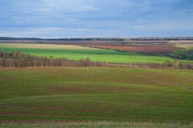Yeşil tarlaların, ekilebilir arazilerin ve yağmurdan sonra bulutlu gökyüzünün güzel baharı.